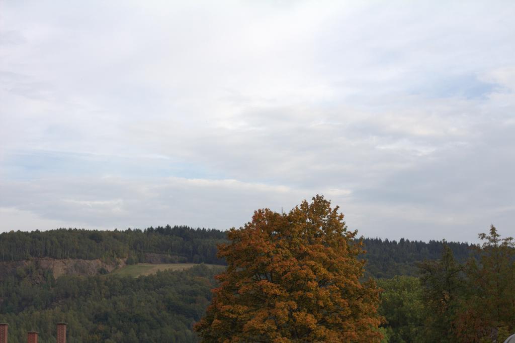 Ferienwohnung Nicole Schneeberg (Saxony) Quarto foto